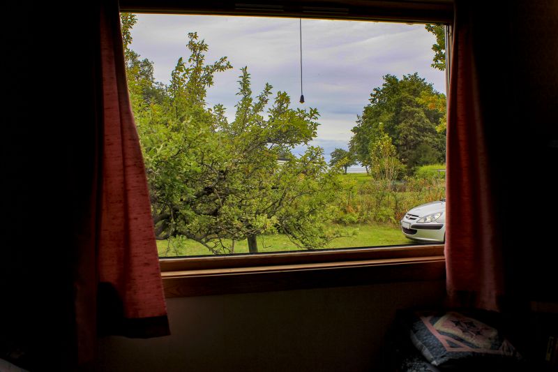 View Through Replaced Window